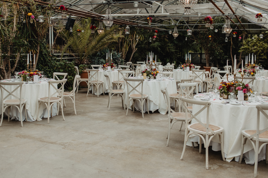 9FC7684D 18C9 47B0 A98E C990270C8AA6 1 105 c