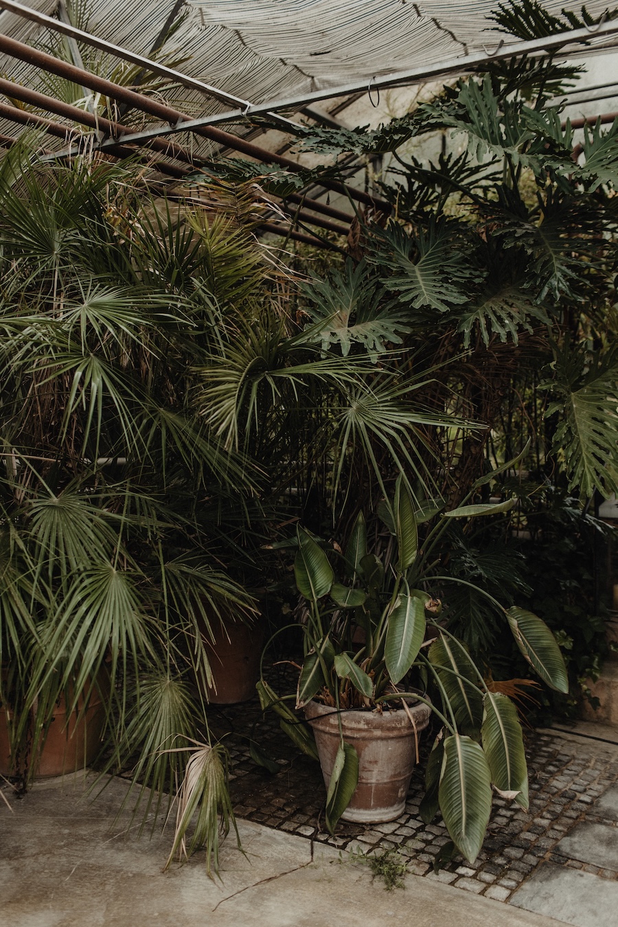 CocoGonserPhotography 004